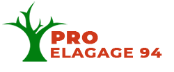 elagage-pro-elagage-94